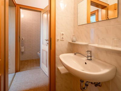 Bild 51 aus  Landhof Familie Weinbacher