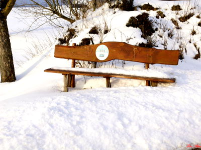 Bild 27 aus Bio-Bauernhof Haunschmid
