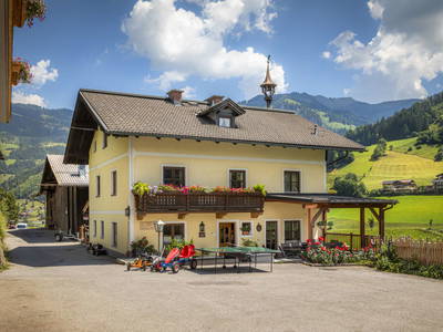 Bild 10 aus  Schaidreithof