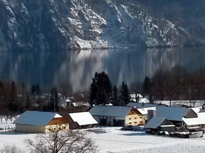 Bild 79 aus  Unteres Feld