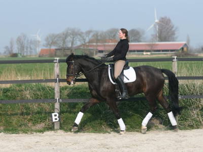 Bild 8 aus  Ulfers Touristik