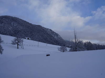 Bild 24 aus  Schmiedlehnerhof