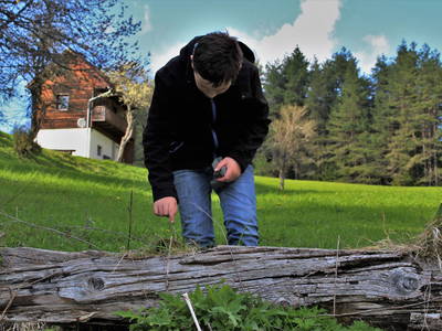 Bild 56 aus  Prebernighütte