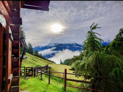 Bild 31 aus Neudegg Heimalm