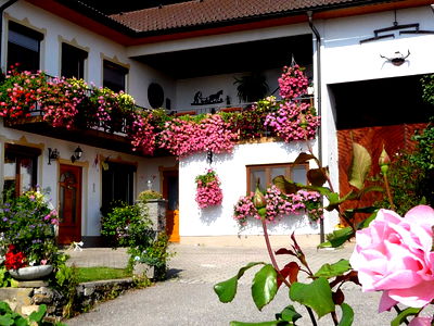 Bild 16 aus Blumentalhof