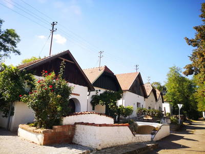 Bild 24 aus  Ferienhaus Weinviertel