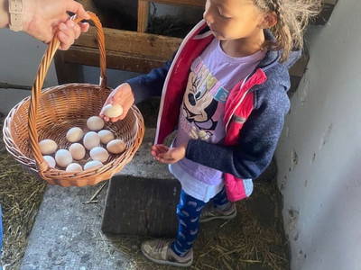 Bild 91 aus  Bauernhof Perhinig