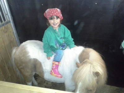 Bild 90 aus  Haus Bernardes