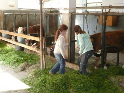 Bild 39 aus  Tobelmühlhof