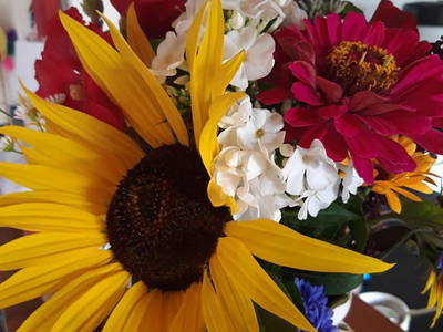 Bild 45 aus  Biobauernhof Mesneranderl