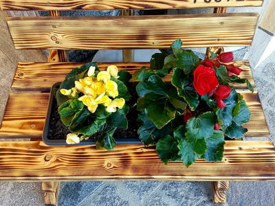 Bild 35 aus  Postl's Hirschbirnhof