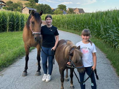 Bild 20 aus  Matlhof