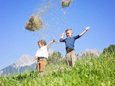 Bild 8 aus  Ederbauer