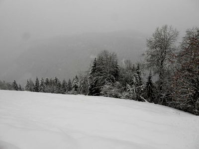 Bild 52 aus Berghütte Reissnerhof