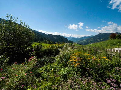 Bild 27 aus  Bichlgut