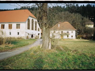 Bild 4 aus  Landhof Holzer