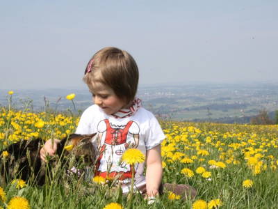 Bild 35 aus  Biohof Heidegger