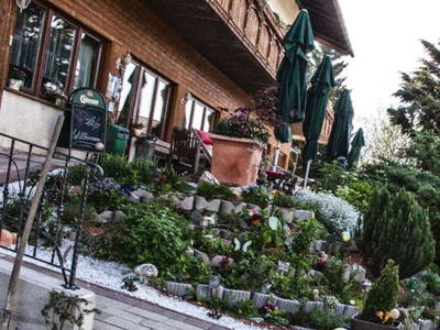 Bild 17 aus  Pöllauerhof