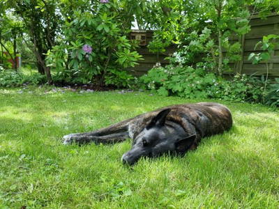 Bild 16 aus  Heverhus