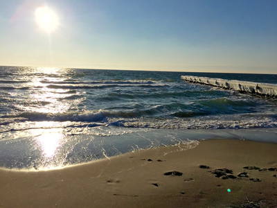 Bild 24 aus  Bauernhof Claussen Fehmarn