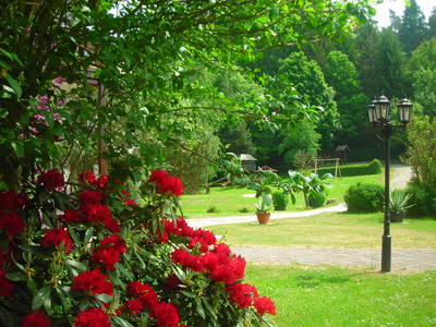 Bild 45 aus  Hotel Gasthof Sieberzmühle