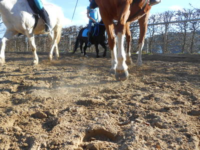 Bild 62 aus  Ferienhof Pulte