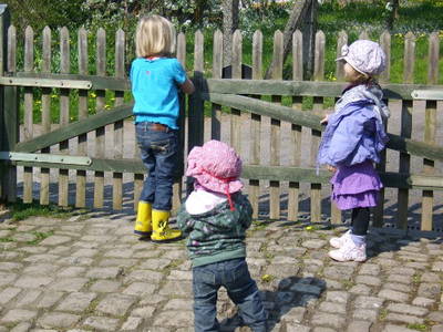 Bild 16 aus  Hof Gerina