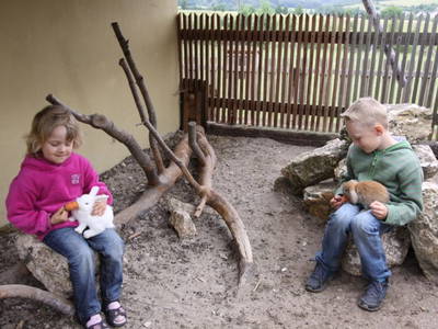 Bild 26 aus  "Höhenhof - Erlebnisbauernhof"