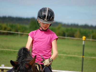 Bild 3 aus  Landhotel-Ferienhof Schneider