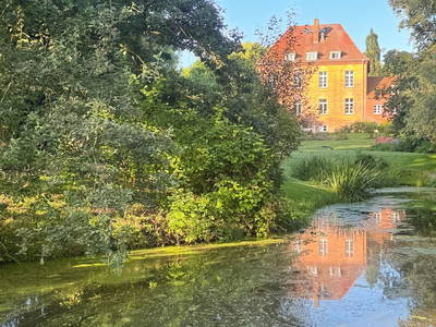 Bild 37 aus  Gutshaus Gottin