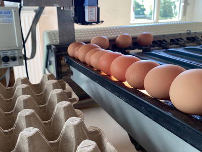 Bild 23 aus  Ferienhof Schlünzen