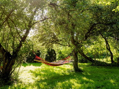 Bild 15 aus  Gut Hohenhain