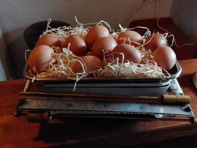 Bild 36 aus  Hof Keppel, der stromlose Urlaub