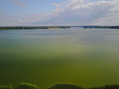 Bild 41 aus  Gestüt Hof am See