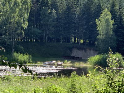Bild 21 aus  Ferienhäuser in Waldhütten