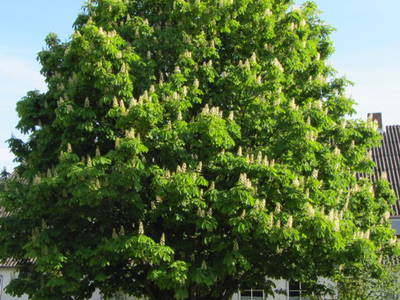 Bild 5 aus  Ferienhof  Moos