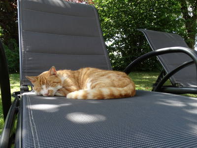 Bild 12 aus  Schwarz-Hof