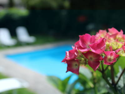 Bild 8 aus  Ferienwohnungen Innerhofer Riffian bei Meran - Adults Only