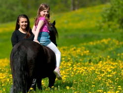 Bild 29 aus  Kirnermartes Hof