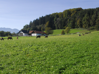Bild 4 aus  Unterfürberg-Hof