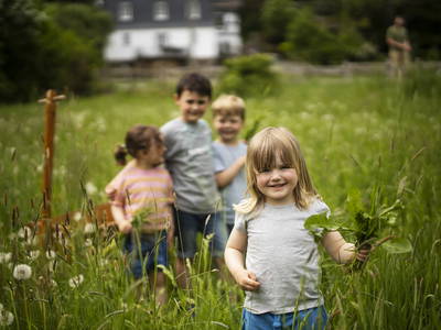 Bild 15 aus  Ferienhof Heute Mühle