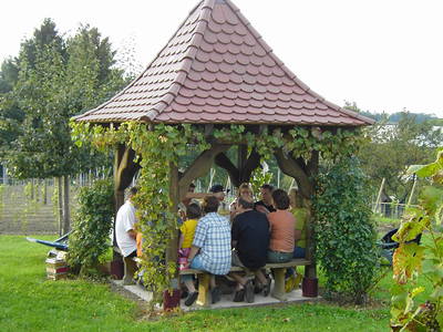 Bild 30 aus  Obst- und Ferienhof Gomeringer