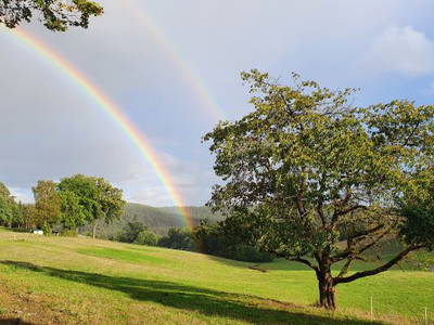 Bild 36 aus  Ferienhof Lochau