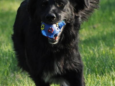 Bild 73 aus  Casa Bivignano