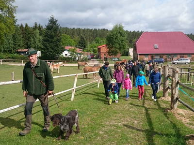Bild 16 aus  Waldhof Bruchmühle