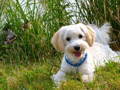 Bild 21 aus  Gutshof Gress