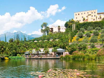 Bild 7 aus  Villa Alvarium