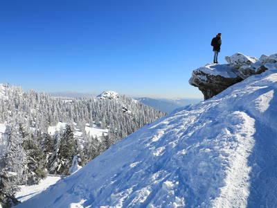 Bild 29 aus  Paulas Bauernhof im Bayerischen Wald
