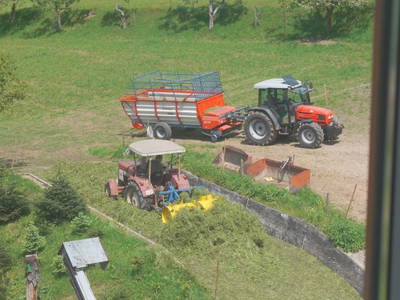 Bild 15 aus  Maierhof