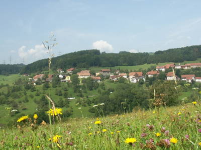 Bild 16 aus  Martiburhof - Ferien auf dem Bauernhof